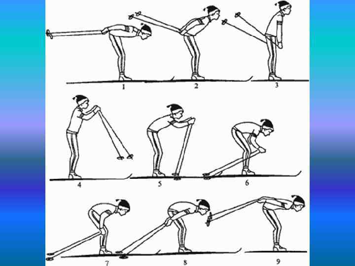 Имитация бесшажного хода. Одновременный бесшажный лыжный ход. Одновременный одношажный ход. Техника лыжных ходов что такое бесшажный ход. Одновременные ходы – бесшажный, одношажный, двухшажный..