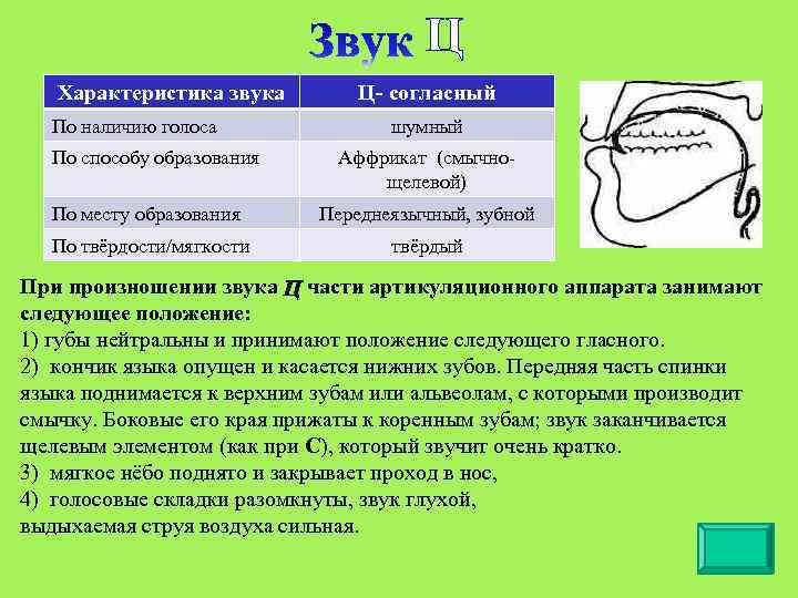 Правильная характеристика звука