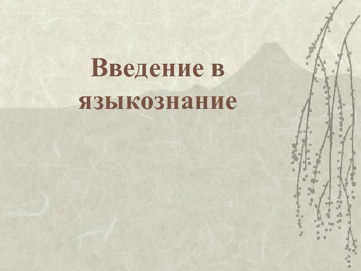 Введение в языкознание. Введение в языковедение. Введение в Языкознание Мыркин. Введение в Языкознание кратко. Введение в лингвистику презентация.