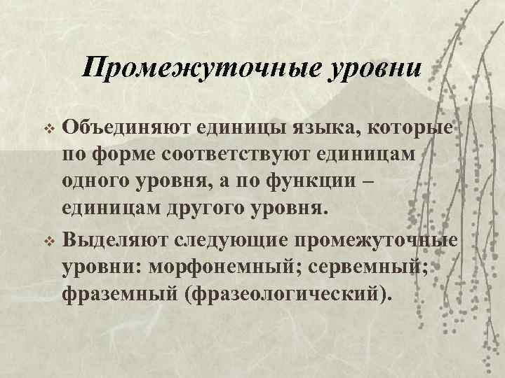 Промежуточные уровни Объединяют единицы языка, которые по форме соответствуют единицам одного уровня, а по