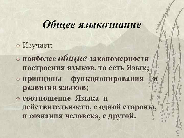 Общее языкознание v Изучает: наиболее общие закономерности построения языков, то есть Язык; v принципы