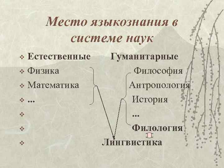 Место языкознания в системе наук Естественные v Физика v Математика v. . . v