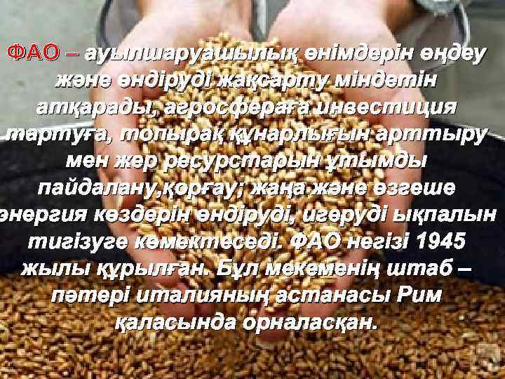 ФАО – ауылшаруашылық өнімдерін өңдеу және өндіруді жақсарту міндетін атқарады, агросфераға инвестиция тартуға, топырақ