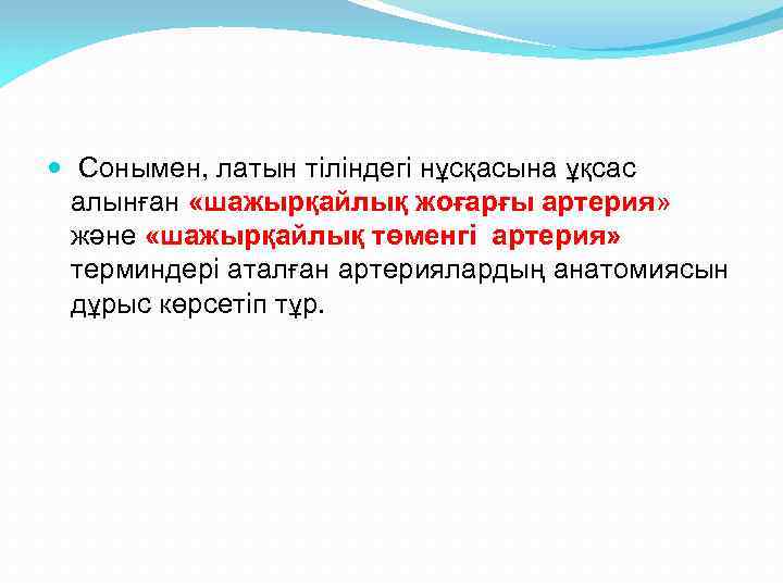  Сонымен, латын тіліндегі нұсқасына ұқсас алынған «шажырқайлық жоғарғы артерия» және «шажырқайлық төменгі артерия»