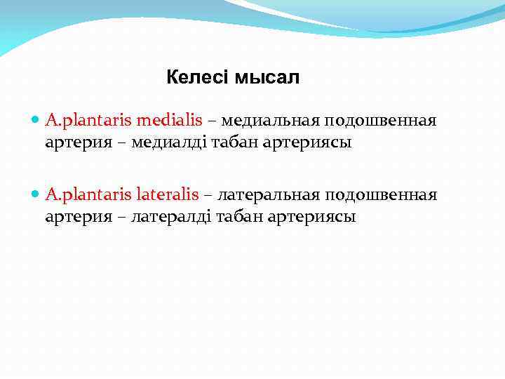 Келесі мысал А. plantaris medialis – медиальная подошвенная артерия – медиалді табан артериясы А.