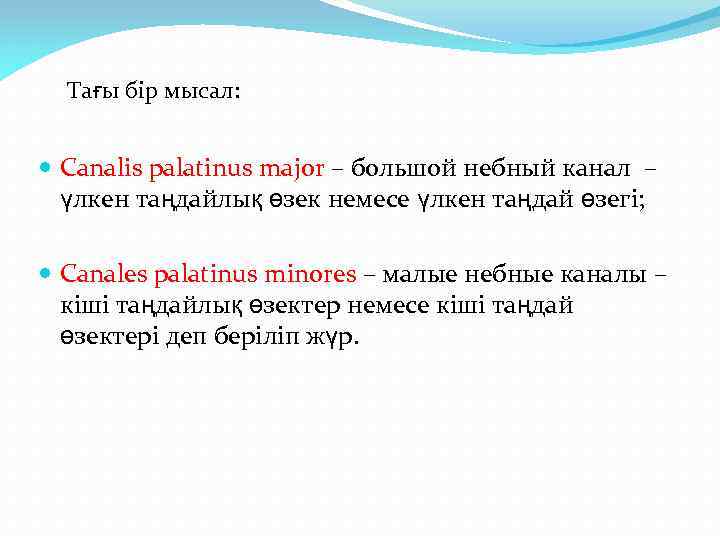 Тағы бір мысал: Сanalis palatinus major – большой небный канал – үлкен таңдайлық өзек