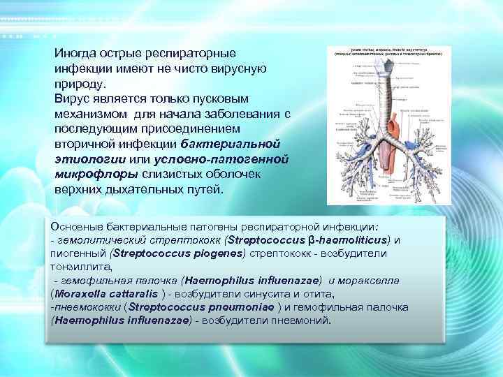 Иногда острые респираторные инфекции имеют не чисто вирусную природу. Вирус является только пусковым механизмом