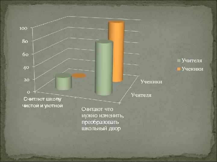 Считают школу чистой и уютной Считают что нужно изменить, преобразовать школьный двор 