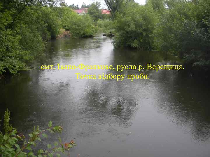 смт. Івано-Франкове, русло р. Верещиця. Точка відбору проби. 