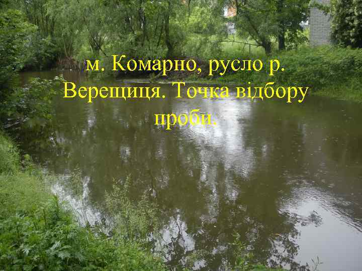 м. Комарно, русло р. Верещиця. Точка відбору проби. 