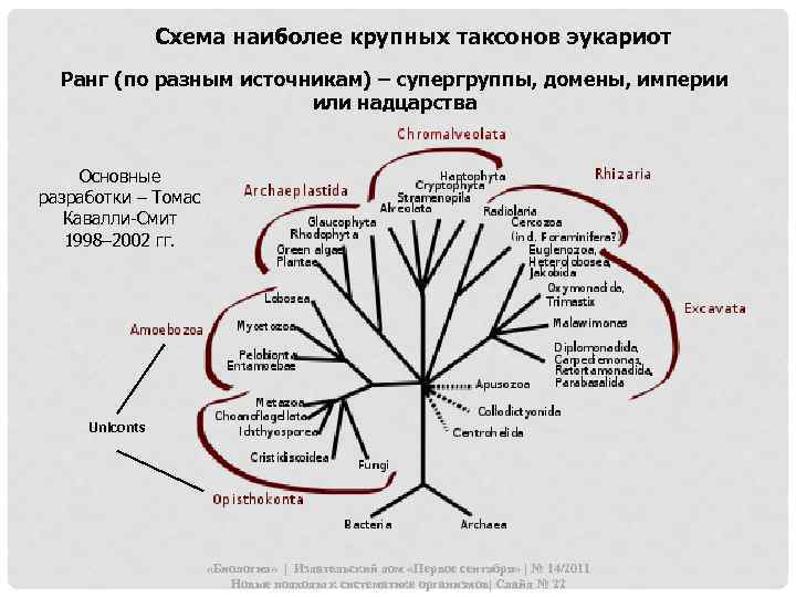 Схема наиболее крупных таксонов эукариот Ранг (по разным источникам) – супергруппы, домены, империи или