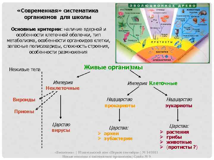 Принципы систематики организмов