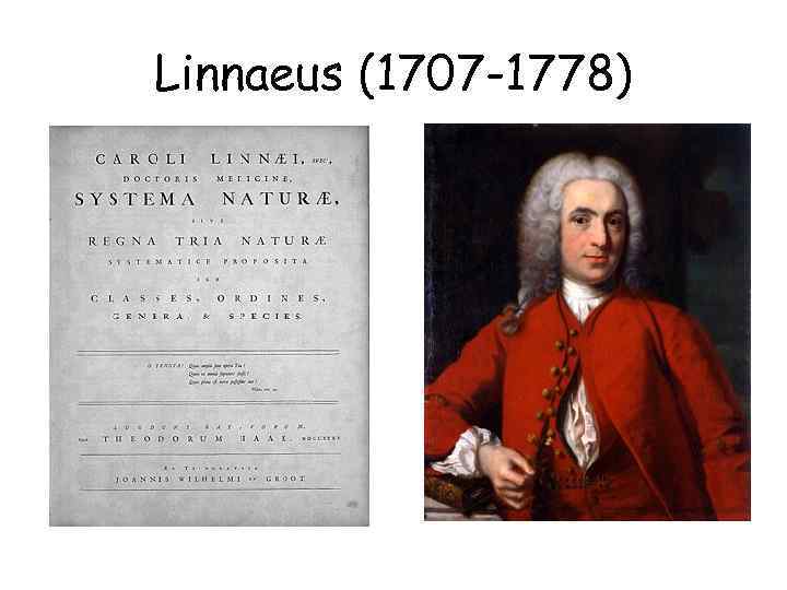 Linnaeus (1707 -1778) 