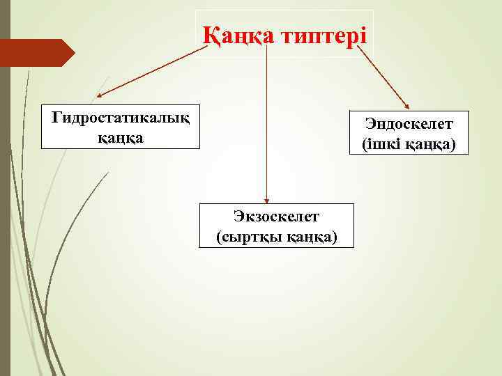 Қаңқа типтері Гидростатикалық қаңқа Эндоскелет (ішкі қаңқа) Экзоскелет (сыртқы қаңқа) 