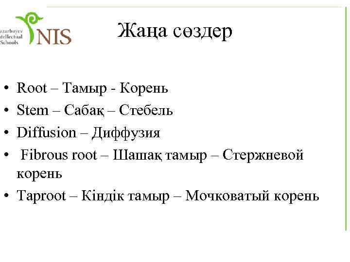 Жаңа сөздер • • Root – Тамыр - Корень Stem – Сабақ – Стебель
