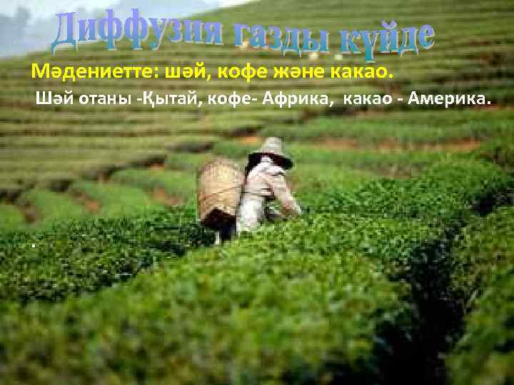 Мәдениетте: шәй, кофе және какао. Шәй отаны -Қытай, кофе- Африка, какао - Америка. .