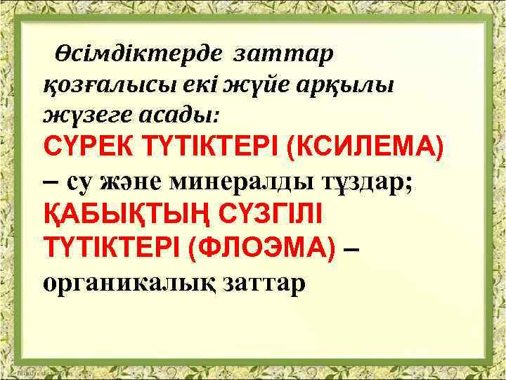 Өсімдіктерде заттар қозғалысы екі жүйе арқылы жүзеге асады: СҮРЕК ТҮТІКТЕРІ (КСИЛЕМА) – су және