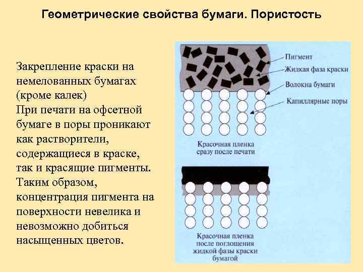 Геометрические свойства бумаги. Пористость Закрепление краски на немелованных бумагах (кроме калек) При печати на