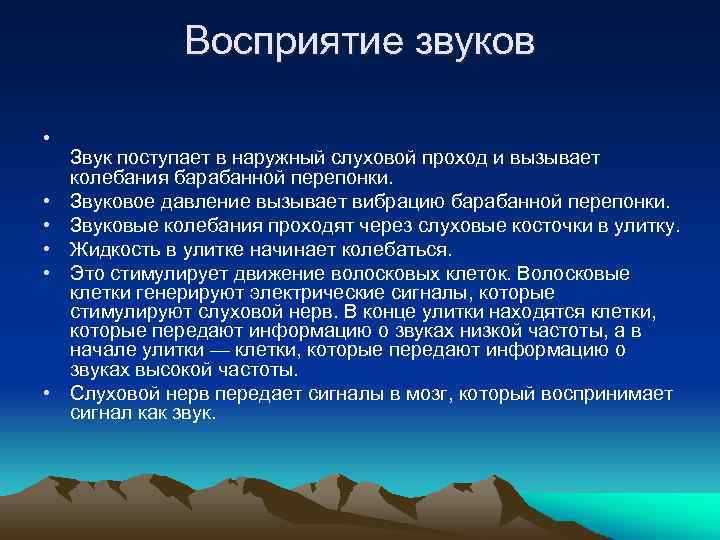 Восприятие звуков • • • Звук поступает в наружный слуховой проход и вызывает колебания