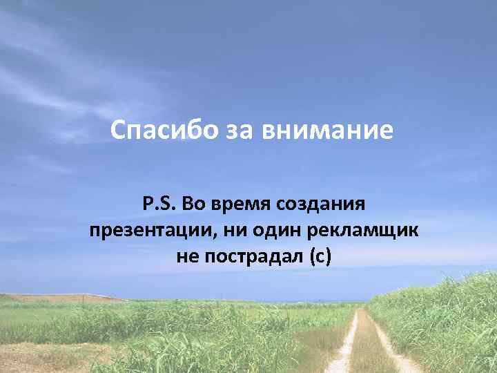 Спасибо за внимание P. S. Во время создания презентации, ни один рекламщик не пострадал