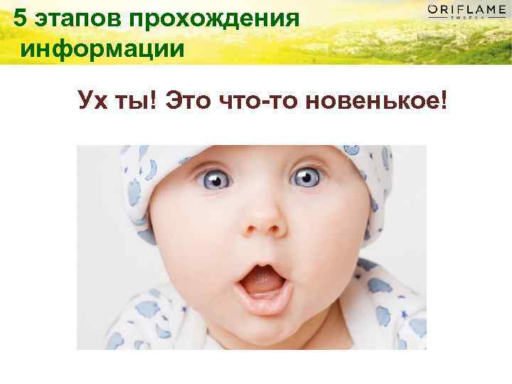 5 этапов прохождения информации Ух ты! Это что-то новенькое! 