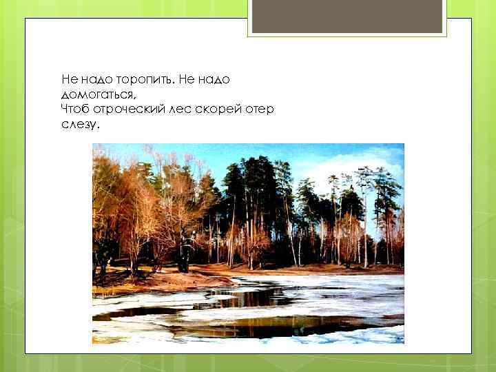 Не надо торопить. Не надо домогаться, Чтоб отроческий лес скорей отер слезу. 