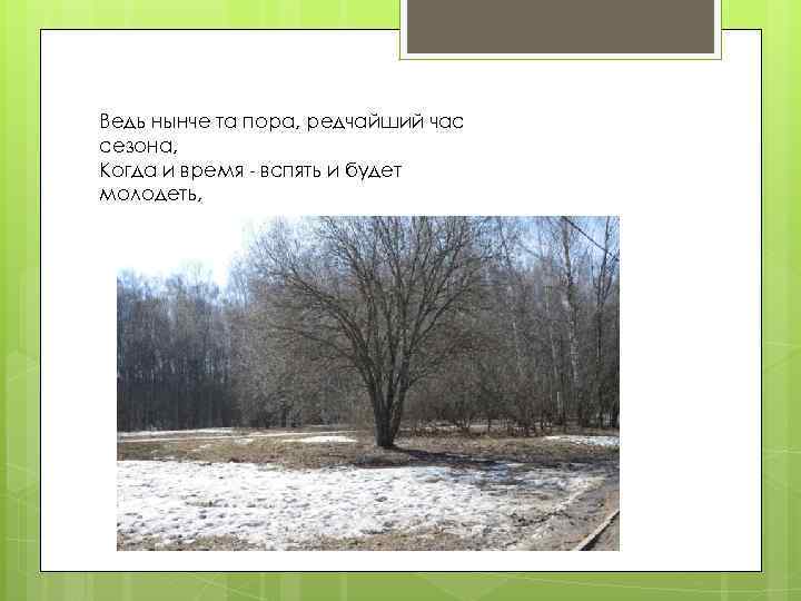 Ведь нынче та пора, редчайший час сезона, Когда и время - вспять и будет