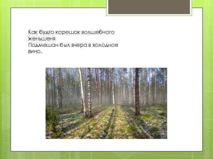 Как будто корешок волшебного женьшеня Подмешан был вчера в холодное вино. 