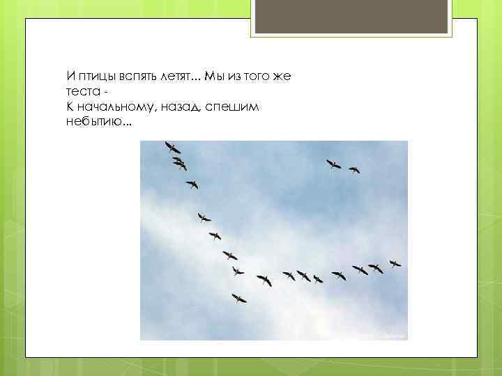 И птицы вспять летят. . . Мы из того же теста К начальному, назад,