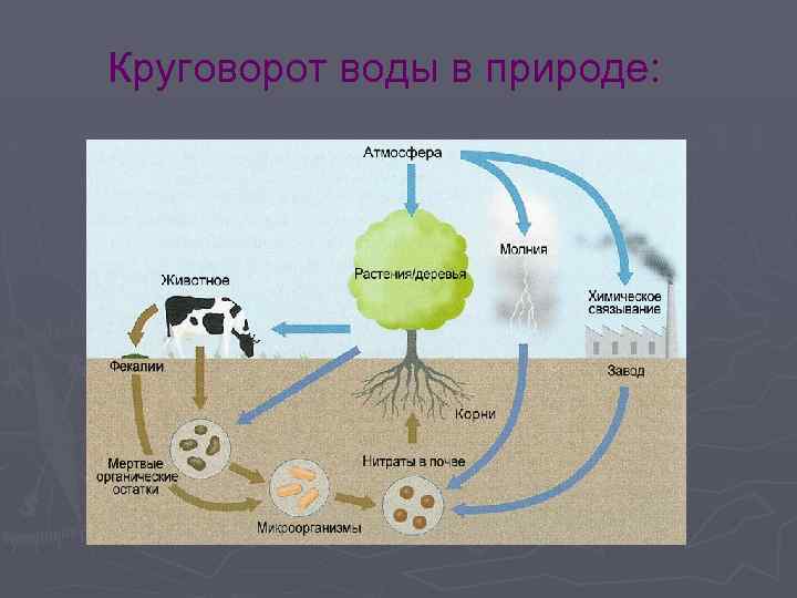 Круговорот воды в природе: 