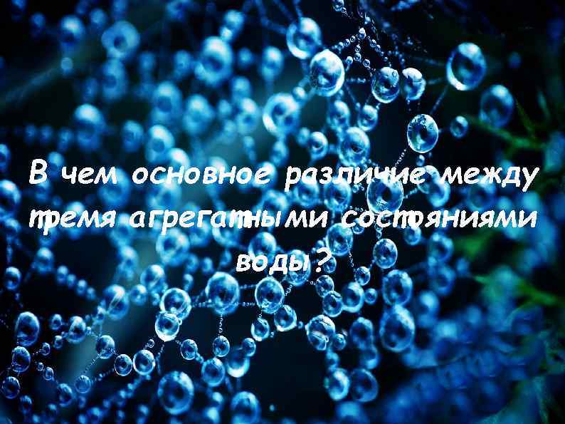 В чем основное различие между тремя агрегатными состояниями воды? 