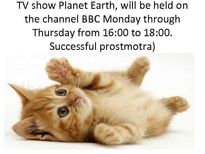 TV show Planet Earth, will be held on the channel BBC Monday through Thursday