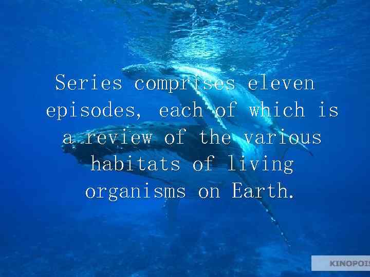 Series comprises eleven episodes, each of which is a review of the various habitats
