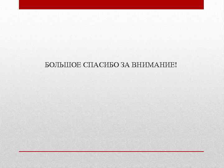 БОЛЬШОЕ СПАСИБО ЗА ВНИМАНИЕ! 