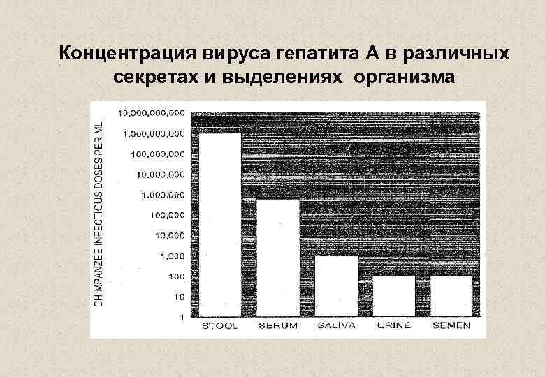 Концентрация вируса гепатита А в различных секретах и выделениях организма 