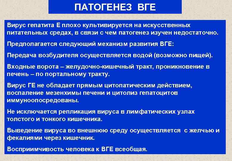 ПАТОГЕНЕЗ ВГЕ Вирус гепатита Е плохо культивируется на искусственных питательных средах, в связи с