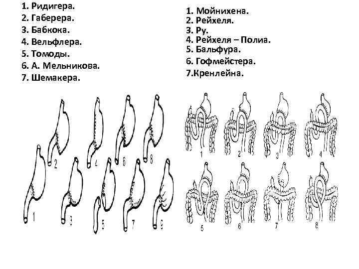 1. Ридигера. 2. Габерера. 3. Бабкока. 4. Вельфлера. 5. Томоды. 6. А. Мельникова. 7.
