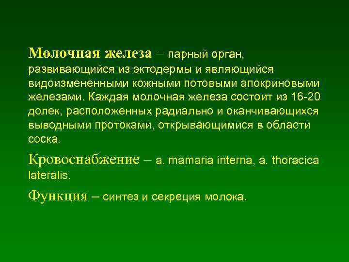 Молочная железа – парный орган, развивающийся из эктодермы и являющийся видоизмененными кожными потовыми апокриновыми