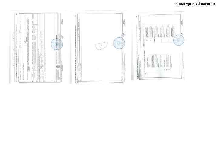 Кадастровый паспорт 