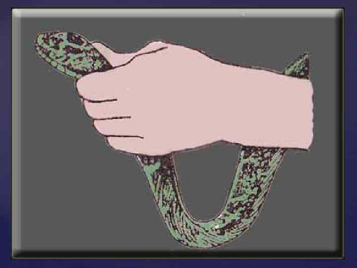 Держать змею в руках. Как правильно держать змею. Мудра змея руками. Рука держит змею.