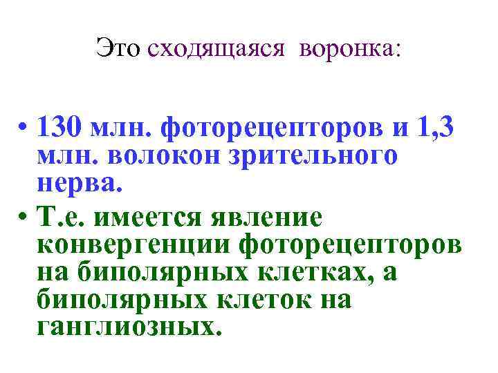 Это сходящаяся воронка: • 130 млн. фоторецепторов и 1, 3 млн. волокон зрительного нерва.