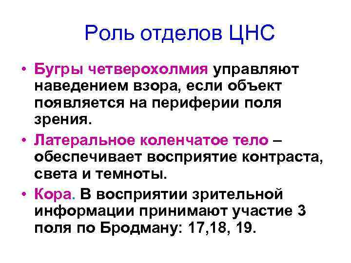 Роль отделов ЦНС • Бугры четверохолмия управляют наведением взора, если объект появляется на периферии