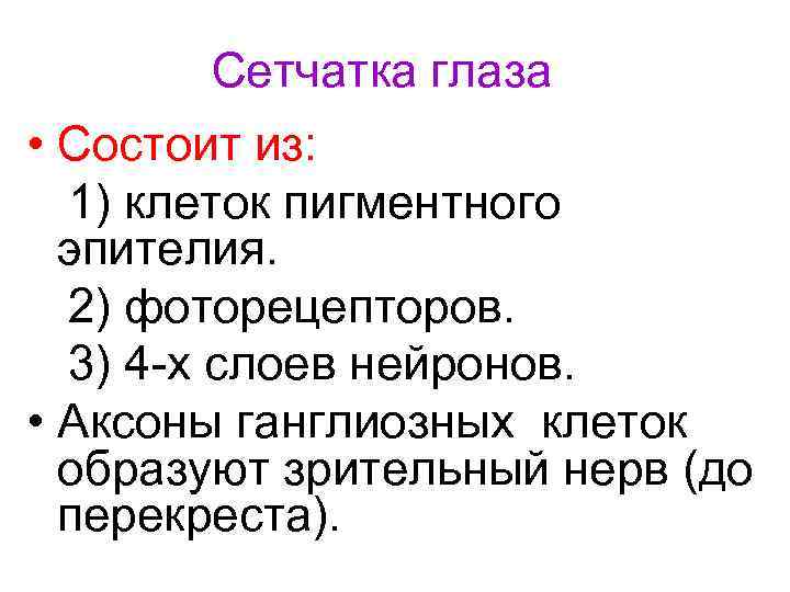 Сетчатка глаза • Состоит из: 1) клеток пигментного эпителия. 2) фоторецепторов. 3) 4 -х