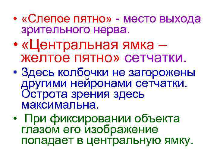  • «Слепое пятно» - место выхода зрительного нерва. • «Центральная ямка – желтое
