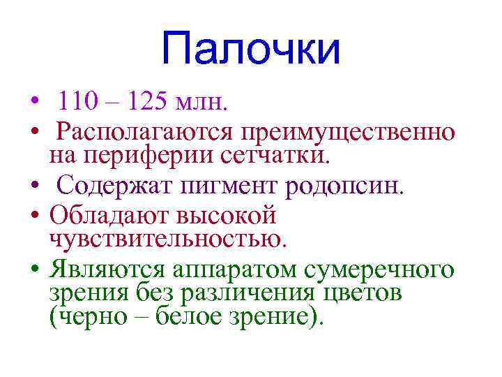 Палочки • 110 – 125 млн. • Располагаются преимущественно на периферии сетчатки. • Содержат