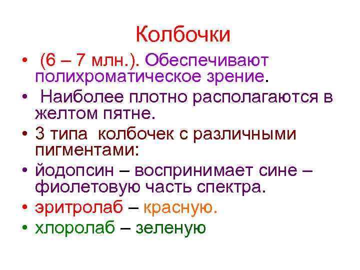 Колбочки • (6 – 7 млн. ). Обеспечивают полихроматическое зрение. • Наиболее плотно располагаются