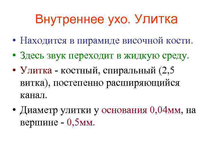 Внутреннее ухо. Улитка • Находится в пирамиде височной кости. • Здесь звук переходит в