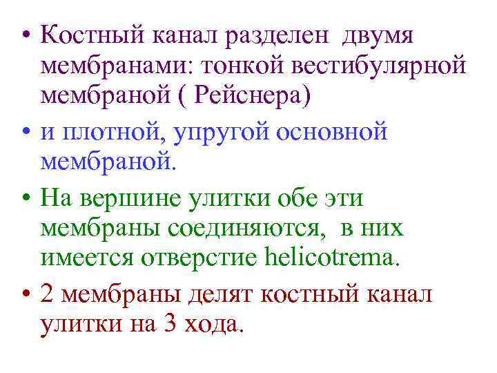  • Костный канал разделен двумя мембранами: тонкой вестибулярной мембраной ( Рейснера) • и