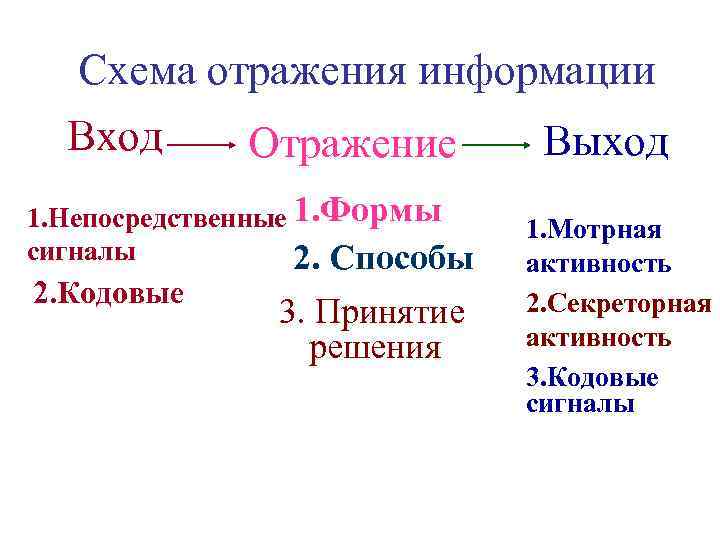 Схема отражения информации Вход Отражение 1. Непосредственные 1. Формы сигналы 2. Способы 2. Кодовые