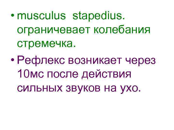 • musculus stapedius. ограничевает колебания стремечка. • Рефлекс возникает через 10 мс после